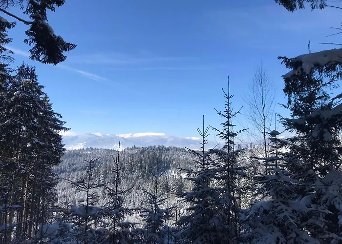 Отель Bartka *