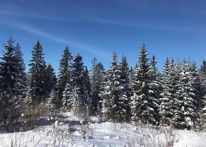 Отель Bartka